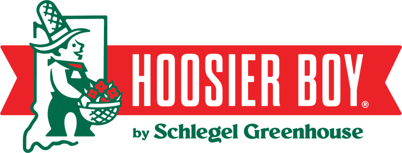 Hoosier Boy by Schlegel Greenhouse