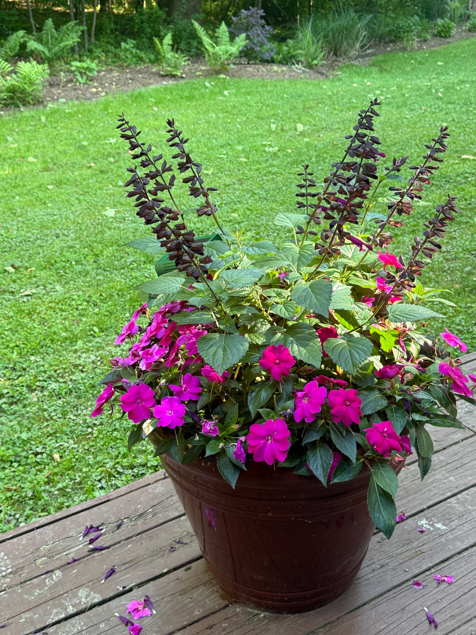 Has Your Container Run Out of Fertilizer? Time to Recharge with Osmocote.