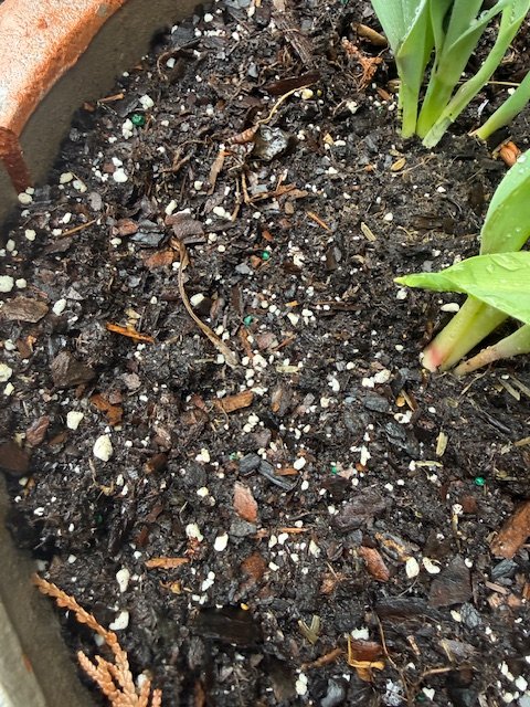 How to Test Your Garden Soil