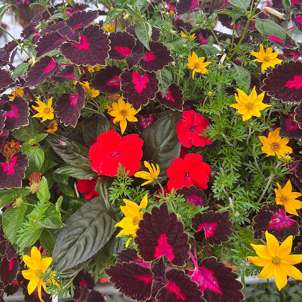 The Drop-In Planter 3