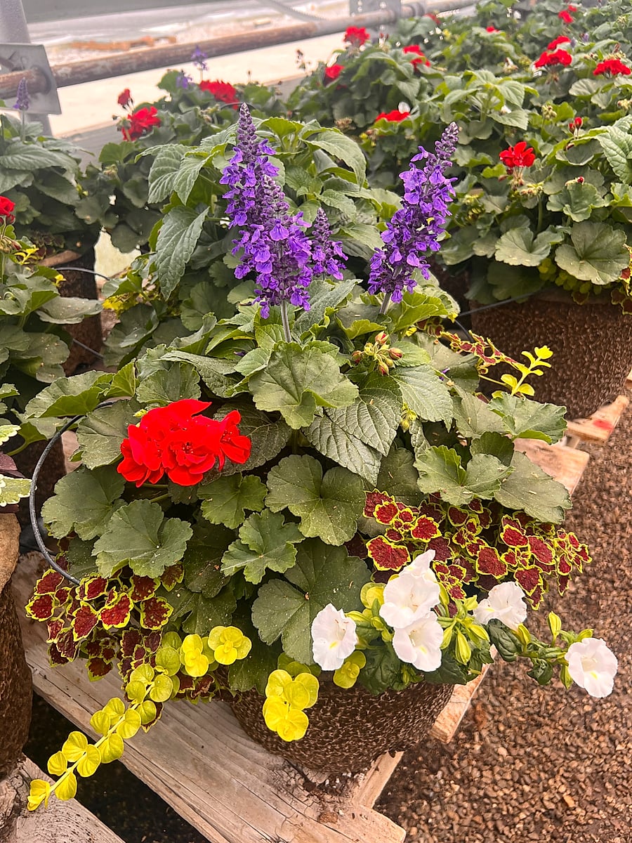 The Drop-In Planter 2